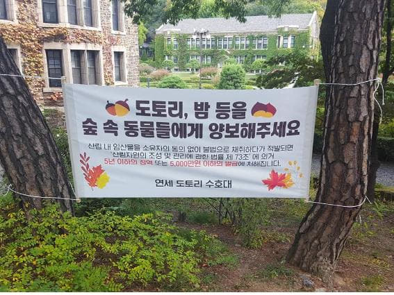 연세대 학생들이 결성한 도토리 수호대가 게시한 현수막./연세대 공식 블로그/