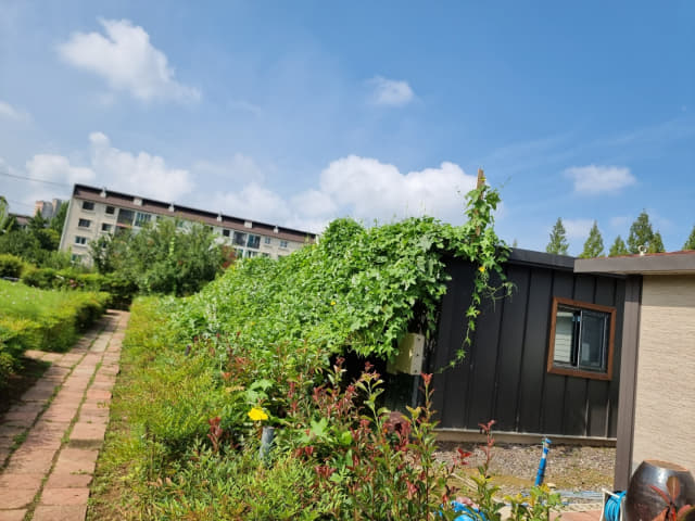 녹색식물 커튼이 설치돼 있는 창원시 자연보호학습장.