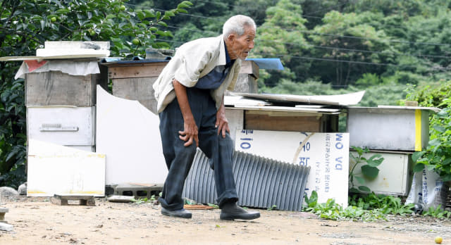 신판도(93) 어르신이 자신의 집마당에 있는 토종벌통을 살펴보고 있다.