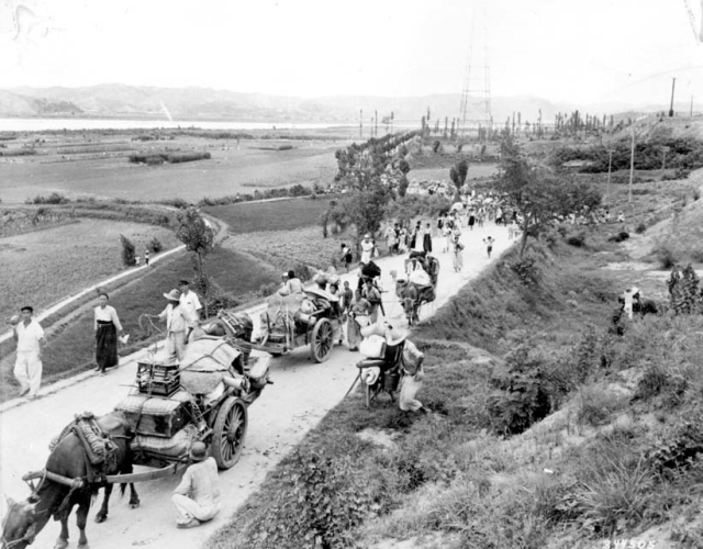 6·25전쟁 당시 북한군이 왜관 낙동강까지 밀려왔다는 소식에 대구 방향으로 피란가는 주민들./경북도/